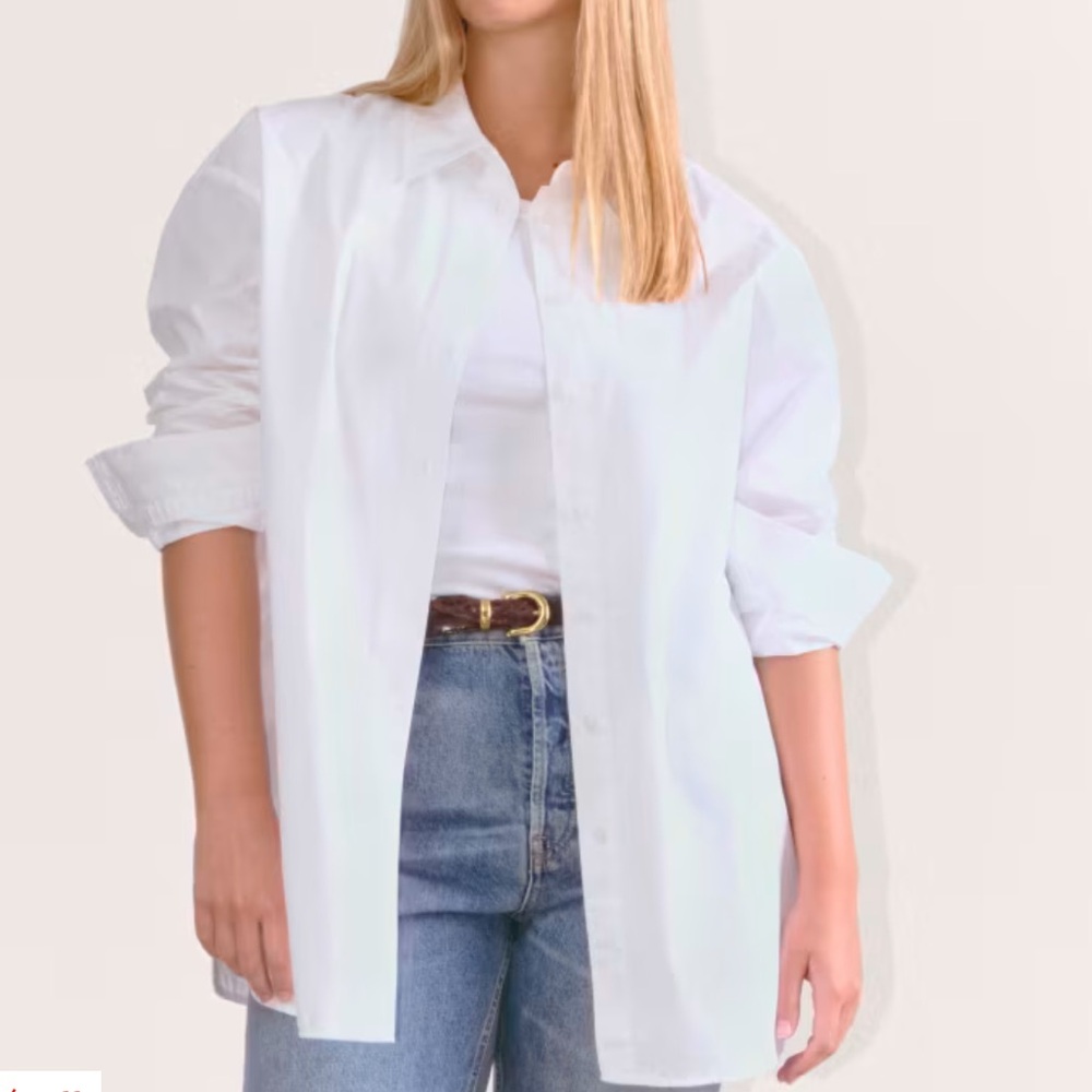 Everlane Supima Cotton Boyfriend Shirt